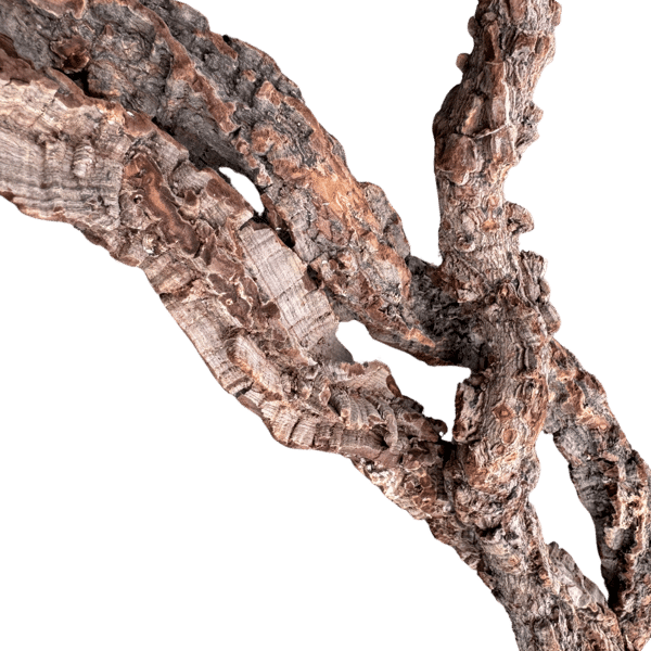 Korkliana 50 cm