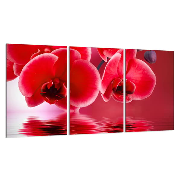 Glasbeskyttelsesplade til komfur 3x30x52
