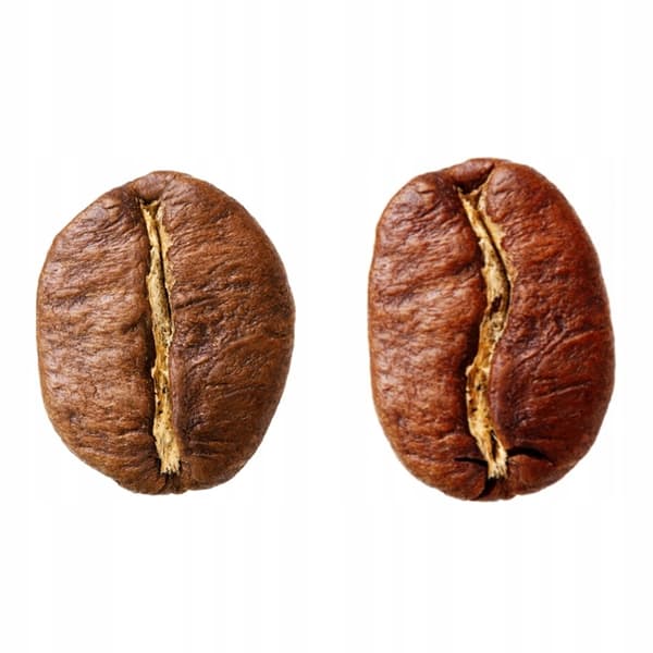 Arabica kaffebønner Dallmayr Classic 500g