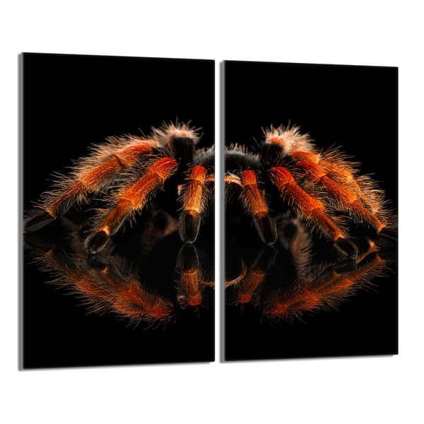 Lasinen suojalevy liedelle 2x30x52 Spider
