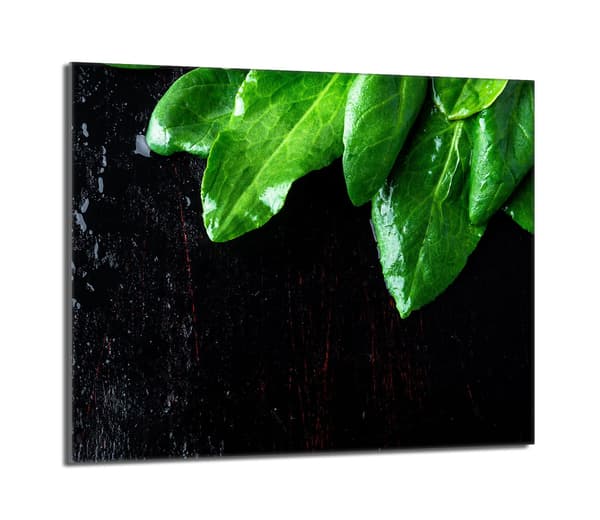 Glasskydd för spishäll 60x52 Basil