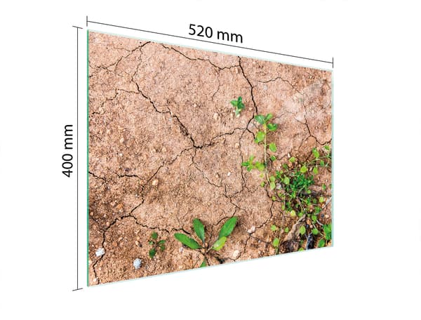 GLAS SKÆREBRÆT 52x40 PLANTER