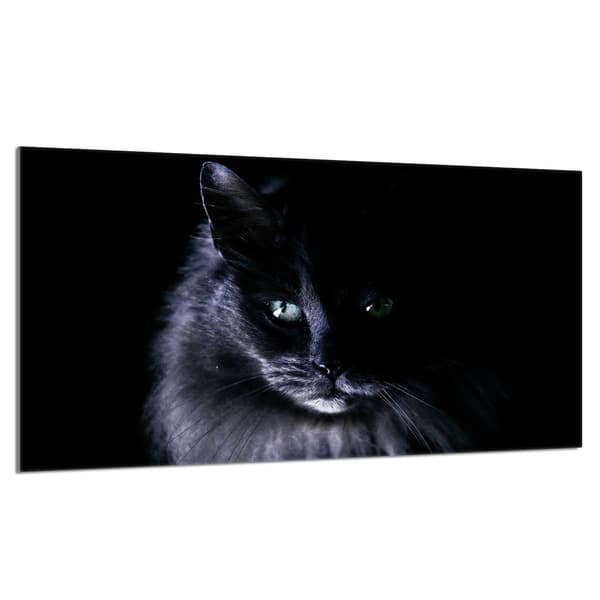 Skyddsplatta i glas för kaminen 90x52 Kat.