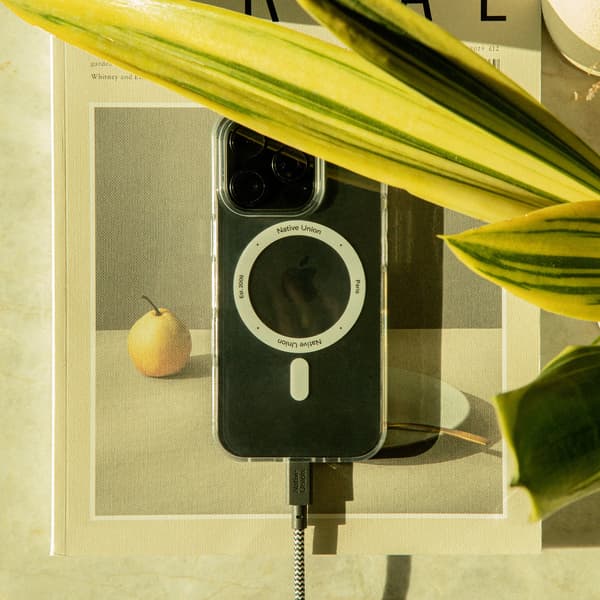 Native Union bæltekabel XL 100W - USB-C - USB-C kabel, 3 m (zebra)