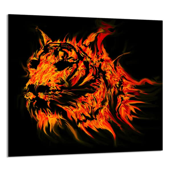 GLASPANEL TIL KØKKEN 65x60 Tiger