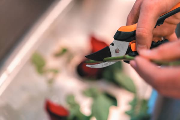 FISKARS SOLID Trädgårdssekatör för att klippa blommor och kvistar - Trådavbitare