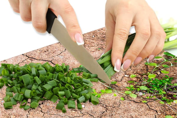Glasbeskytter til komfur 60x52 Planter