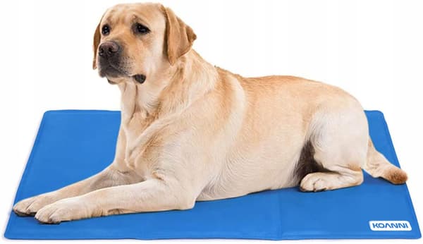 KOANNI KØLEMÅTTE TIL HUNDE- OG KATTESENG 50x40