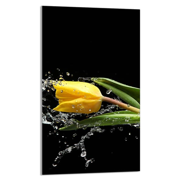 LASINEN LEIKKUULAUTA 30x52 Tulip