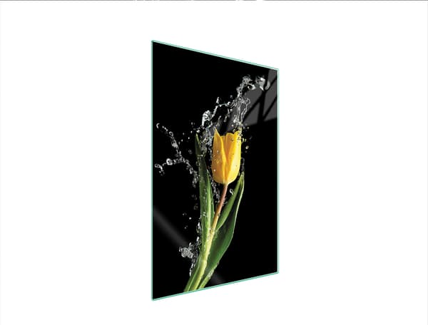 SKÄRBRÄDA I GLAS 35x52 TULIPAN