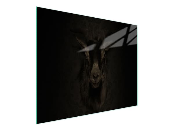 SKÄRBRÄDA I GLAS 52x30 KOZA