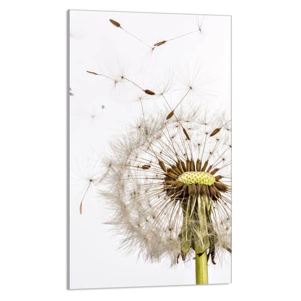 GLAS SKÆREBRÆT 30x52 Blomst