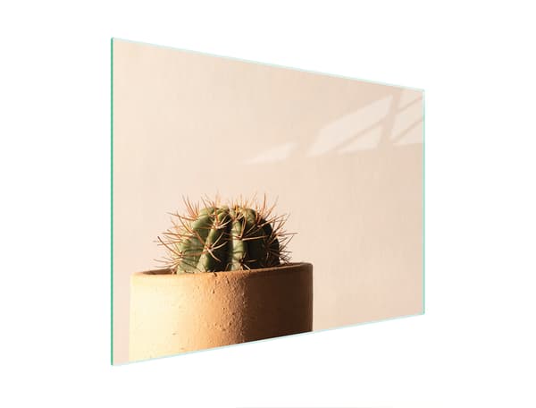 SKÄRBRÄDA I GLAS 40x30 KAKTUS