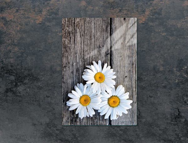 LASINEN LEIKKUULAUTA 35x52 DAISY