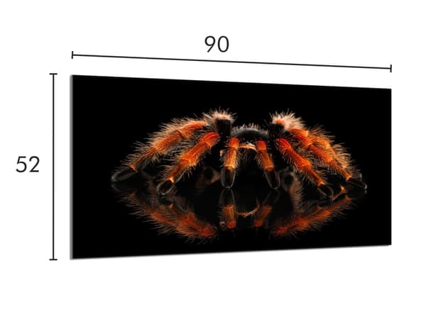 Glasbeskyttelsesplade til komfur 90x52 Spider