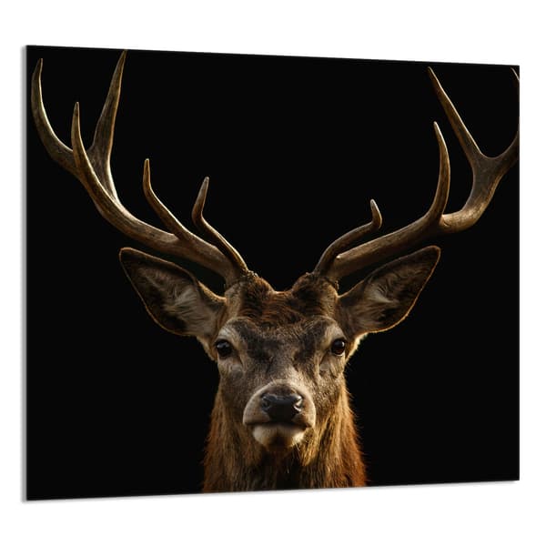 KEITTIÖN LASIPANEELI 65x60 Peura