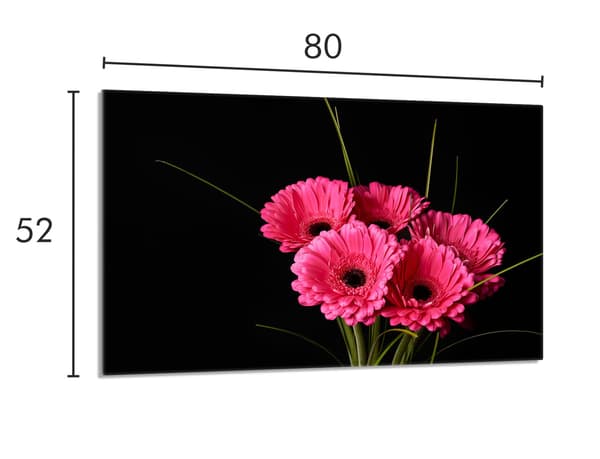 Glasskydd för spishäll 80x52 Gerbera