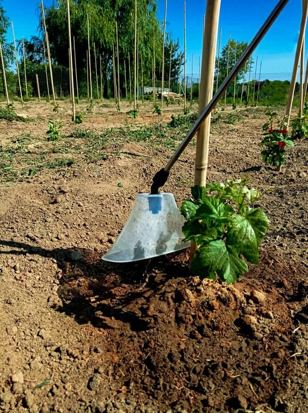 HERBICIDDÆKKE TIL SPRØJTEKEMI