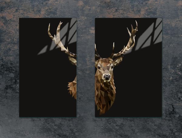 GLASBESKYTTELSESPLADE TIL KØKKEN 65x52 DEER