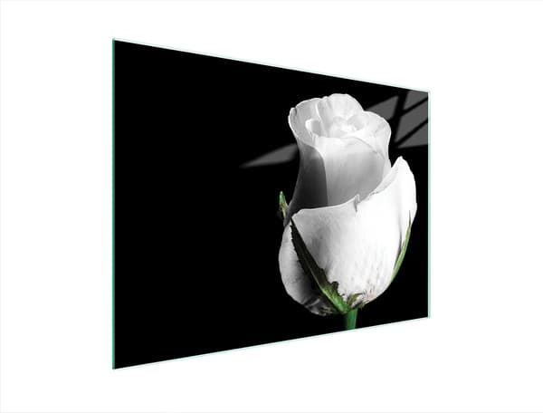 SKÄRBRÄDA I GLAS 40x30 ROSA