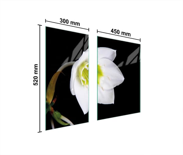 GLASBESKYTTELSESPLADE 75x52 ORCHID