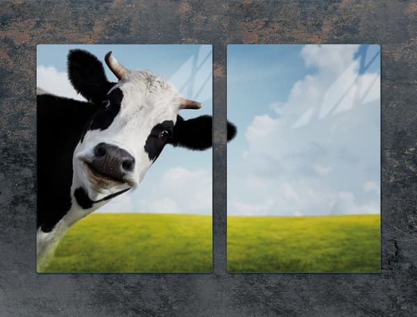 LASINEN SUOJALEVY LIEDELLE 75x52 COW