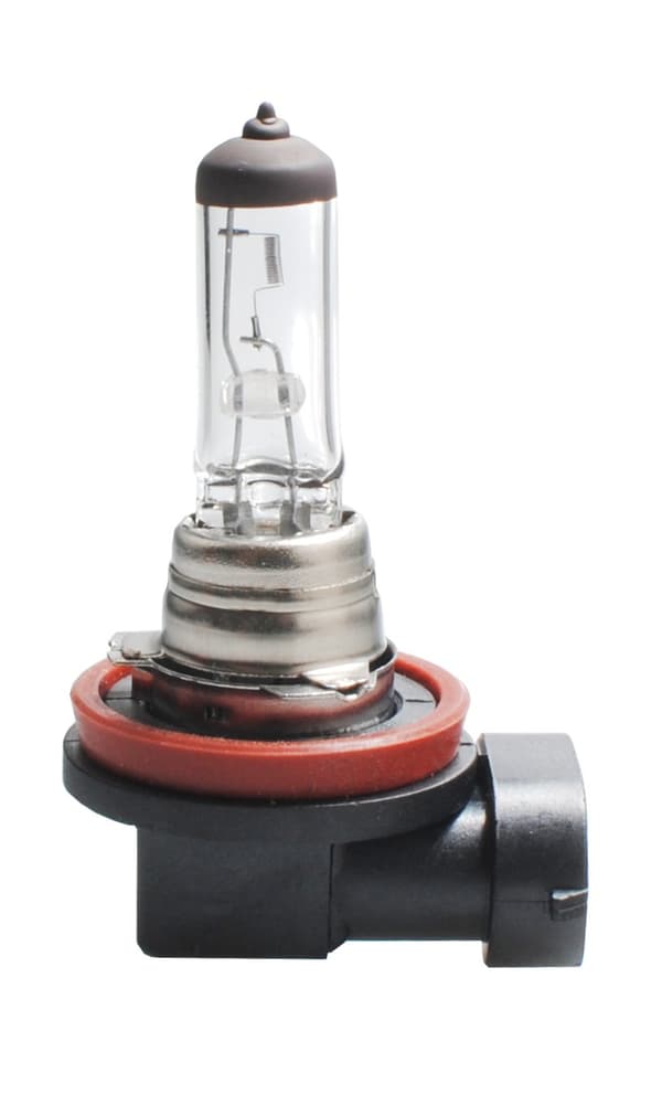 H11 Halogenpære PGJ19-2 55W 12V M-Tech