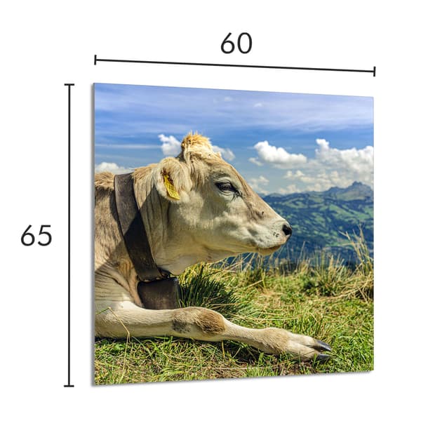 KEITTIÖN LASIPANEELI 60x65 Cow
