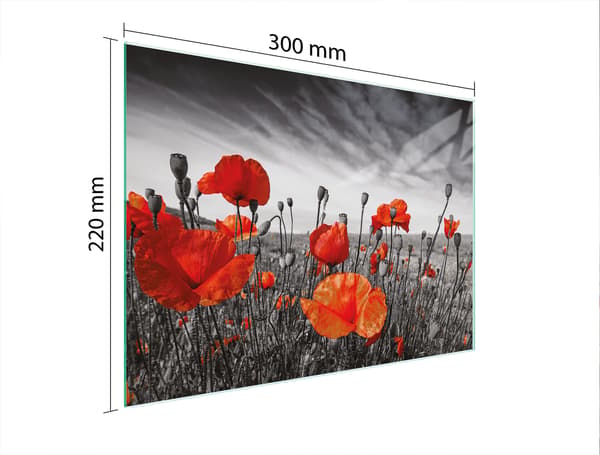 SKÄRBRÄDA I GLAS 30x22 MAKI