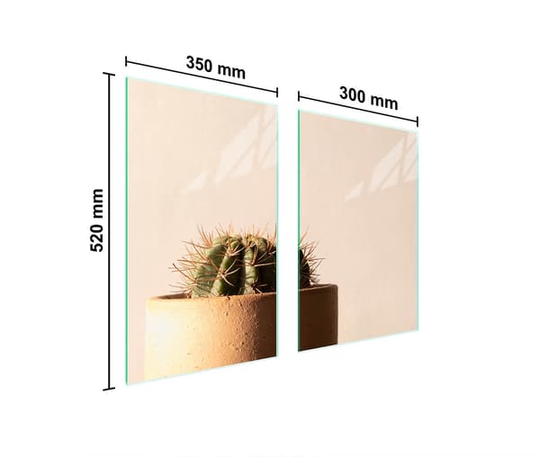 GLASSKYDDSPLATTA FÖR KÖK 65x52 CACTUS