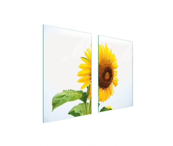 GLASSKYDDSPLÅT FÖR SPIS 75x52 FLOWER