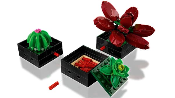 LEGO Botanisk Samling 10309 Sukkulenter