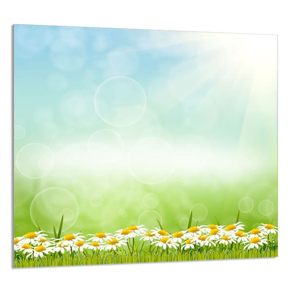 KEITTIÖN LASIPANEELI 65x60 Daisies