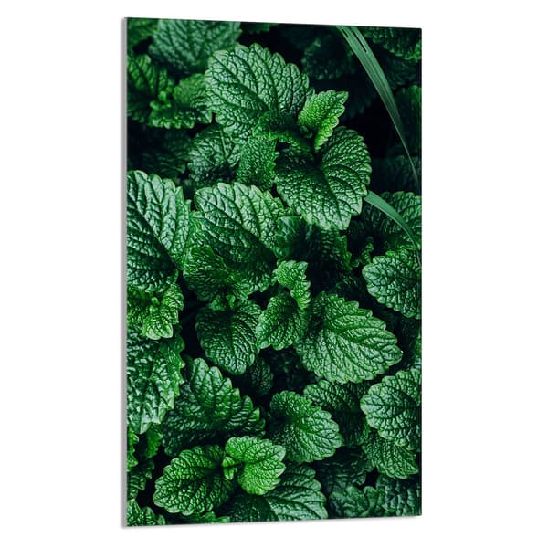 SKÄRBRÄDA I GLAS 30x52 Melissa