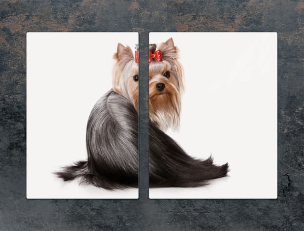 GLASSKYDDSPLÅT 75x52 HUND