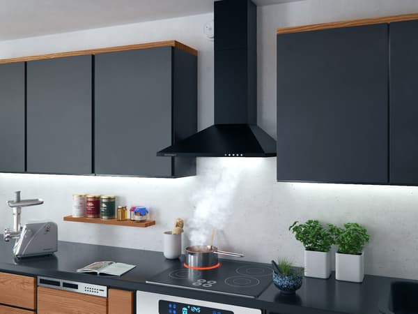 Berdsen BT-214 60 cm emhætte sort