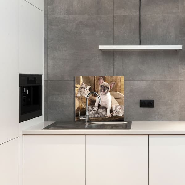 KEITTIÖN LASIPANEELI 65x60 Koira