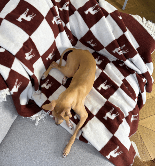 Bomuldstæppe IGGY Bordeaux Lola
