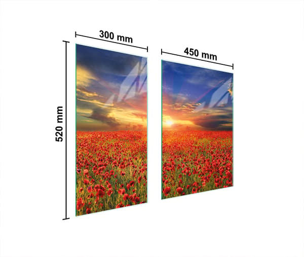 GLASBESKYTTELSESPLADE 75x52 MAKI