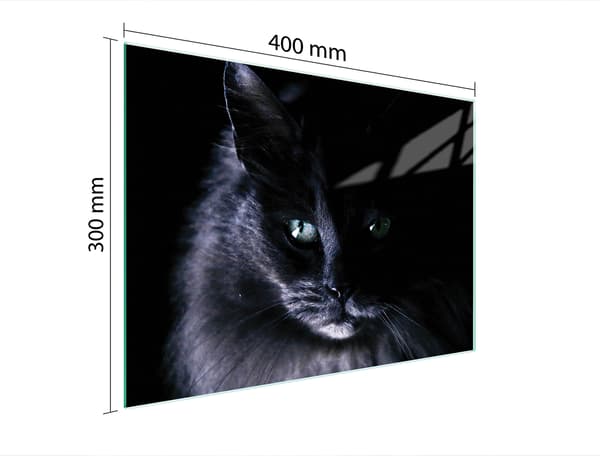 GLAS SKÆREBRÆT 40x30 KAT