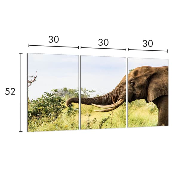 Glasbeskyttelsesplade til komfur 3x30x52