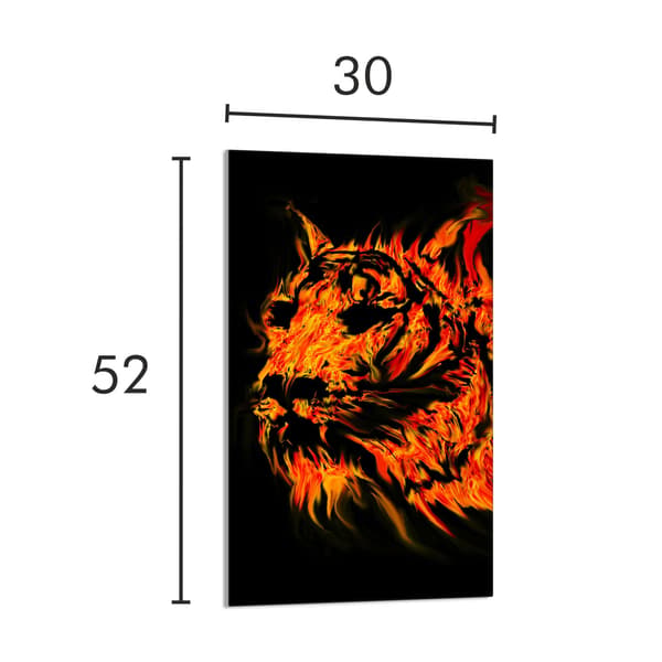GLAS SKÄRBRÄDA 30x52 Tiger