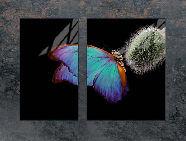 GLASSKYDDSPLÅT FÖR SPIS 70x52 BUTTERFLY