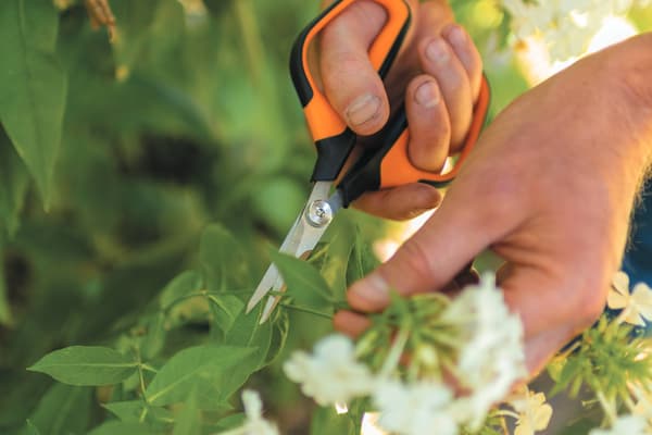 FISKARS SOLID trädgårdssax för klippning, beskärning och blomning av växter