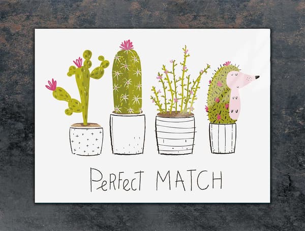 GLASSKYDDSPLÅT FÖR SPIS 70x52 CACTUS