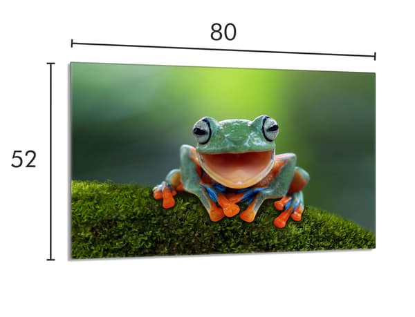 Lasinen suojalevy liedelle 80x52 Frog