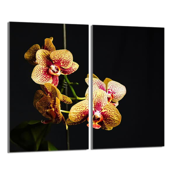 Glasbeskyttelsesplade til komfur 2x30x52 Orchidea