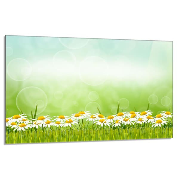 Lasinen suojalevy liedelle 80x52 Daisies