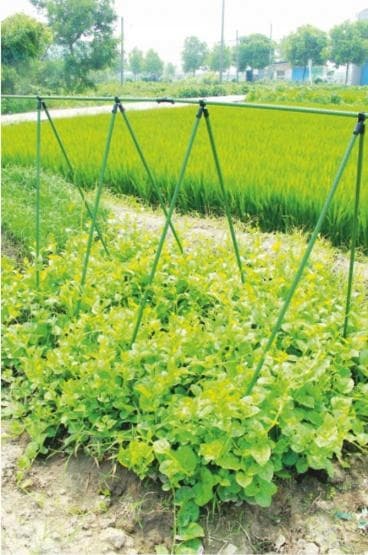 Gardenline trädgårdsram med nät 1,5 m käft