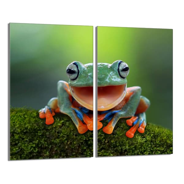 Lasinen suojalevy liedelle 2x30x52 Frog